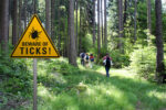 Warning sign "beware of ticks" in infested area in the green forest with walkers